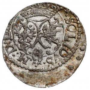 Zygmunt III Waza, Szeląg Wilno 1618 - Wadwicz