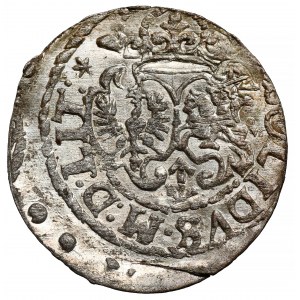Zygmunt III Waza, Szeląg Wilno 1618 - Bogoria