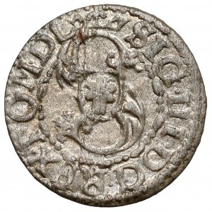 Zygmunt III Waza, Szeląg Ryga 1619