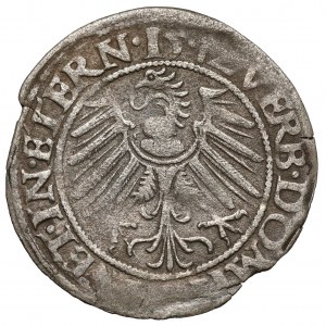 Śląsk, Fryderyk II, Grosz 1542, Legnica