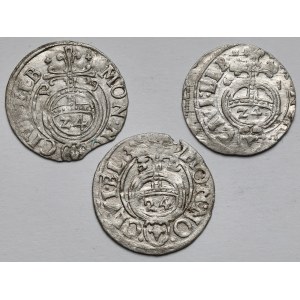 Gustaw II Adolf, Półtorak Elbląg 1629-1632 - zestaw (3szt)