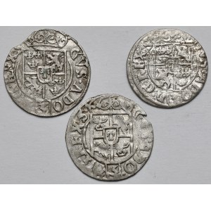 Gustaw II Adolf, Półtorak Elbląg 1629-1632 - zestaw (3szt)