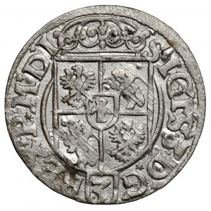 Zygmunt III Waza, Półtorak Bydgoszcz 1619