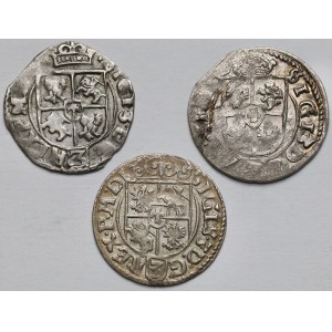 Zygmunt III Waza, Półtoraki 1615-1619 - zestaw (3szt)