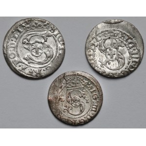 Zygmunt III Waza, Szeląg Ryga 1602-1621 - zestaw (3szt)