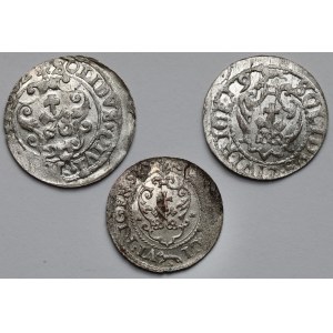 Zygmunt III Waza, Szeląg Ryga 1602-1621 - zestaw (3szt)