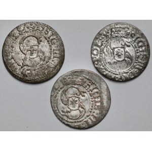 Zygmunt III Waza, Szeląg Ryga 1609-1615 - zestaw (3szt)