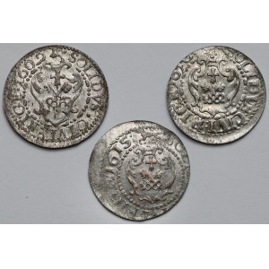 Zygmunt III Waza, Szeląg Ryga 1609-1615 - zestaw (3szt)