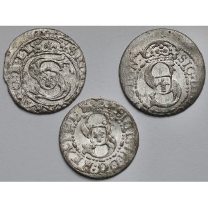 Zygmunt III Waza, Szeląg Ryga 1601-1617 - zestaw (3szt)