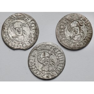Zygmunt III Waza, Szeląg Ryga 1616-1618 - zestaw (3szt)