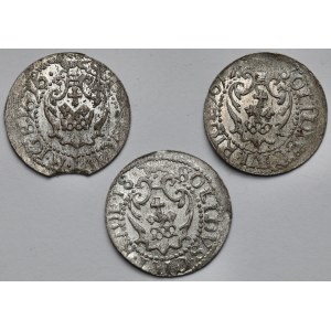 Zygmunt III Waza, Szeląg Ryga 1616-1618 - zestaw (3szt)