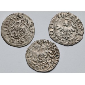 Władysław II Jagiełło, Półgrosz Kraków - zestaw (3szt)