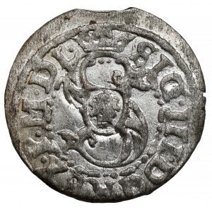 Zygmunt III Waza, Szeląg Ryga 1619 - RIG