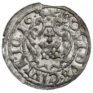 Zygmunt III Waza, Szeląg Ryga 1619 - RIG