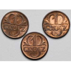 1 grosz 1937-1938 - zestaw (3szt)