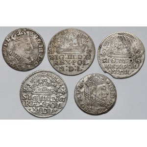 Zygmunt III Waza, Grosze 1607-1627 - zestaw (5szt)