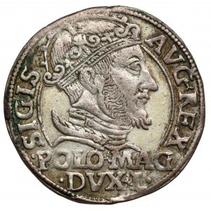 Zygmunt II August, Grosz na stopę polską 1548, Wilno