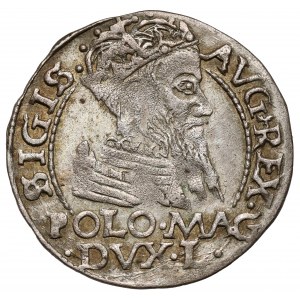 Zygmunt II August, Grosz na stopę polską 1566, Tykocin