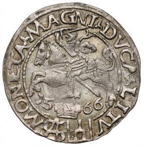 Zygmunt II August, Grosz na stopę polską 1566, Tykocin