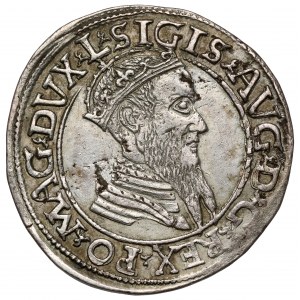 Zygmunt II August, Czworak Wilno 1567