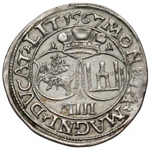 Zygmunt II August, Czworak Wilno 1567