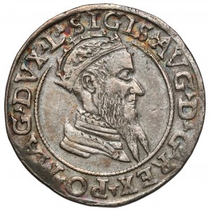 Zygmunt II August, Czworak Wilno 1569