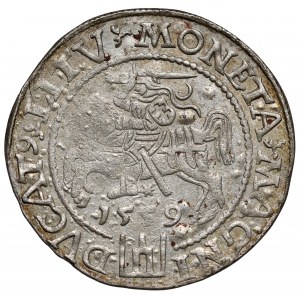 Zygmunt II August, Grosz na stopę litewską 1559, Wilno