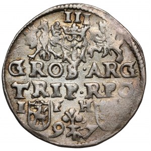 Zygmunt III Waza, Trojak Poznań 1597