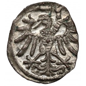 Zygmunt I Stary, Denar Gdańsk 1546