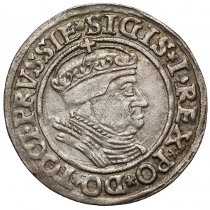 Zygmunt I Stary, Grosz Toruń 1535