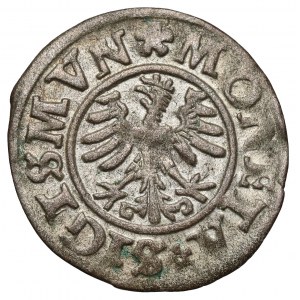 Zygmunt I Stary, Trzeciak Kraków 1528