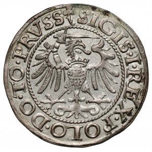 Zygmunt I Stary, Grosz Elbląg 1540