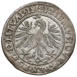 Zygmunt I Stary, Grosz Wilno 1535