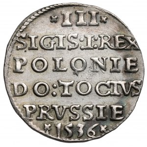 Zygmunt I Stary, Trojak Elbląg 1536
