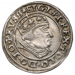 Zygmunt I Stary, Grosz Gdańsk 1540