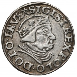 Zygmunt I Stary, Trojak Gdańsk 1539