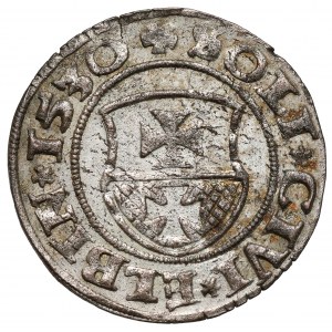 Zygmunt I Stary, Szeląg Elbląg 1530 - pierwszy