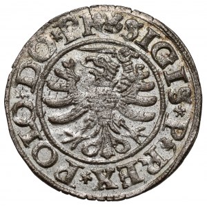 Zygmunt I Stary, Szeląg Elbląg 1530 - pierwszy
