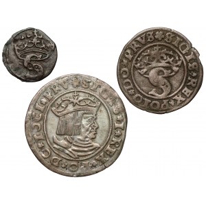 Zygmunt I Stary, Denar, szeląg i grosz, Toruń - zestaw (3szt)
