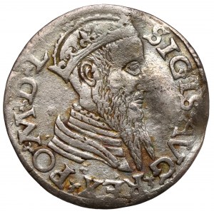Zygmunt II August, Dwugrosz Wilno 1565