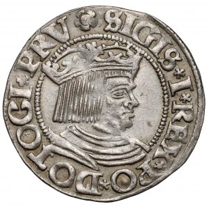 Zygmunt I Stary, Grosz Gdańsk 1533 - DOTOCI