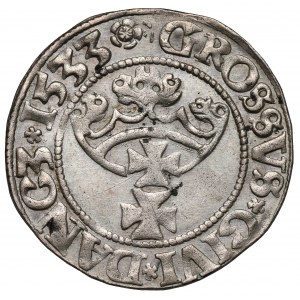 Zygmunt I Stary, Grosz Gdańsk 1533 - DOTOCI