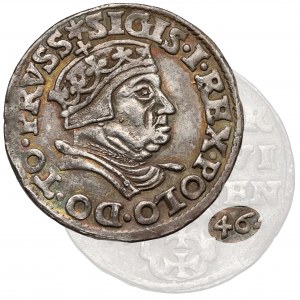Zygmunt I Stary, Trojak Gdańsk 1546