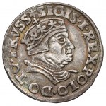 Zygmunt I Stary, Trojak Gdańsk 1546