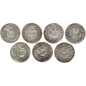 Zygmunt I Stary, Półgrosze Wilno 1510-1527 - zestaw (7szt)