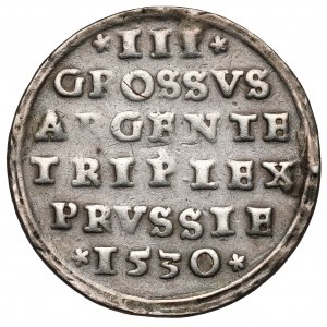 Zygmunt I Stary, Trojak Toruń 1530 - DUŻA głowa