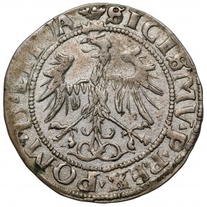 Zygmunt I Stary, Grosz Wilno 1536 - litera F