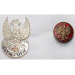 PSZnZ, Zestaw odznak po Kobiecie - w tym Orzeł Y.M.C.A
