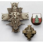 PSZnZ, Zestaw po Strzelcu - Odznaka 3 Dywizji Strzelców Karpackich + naszywki