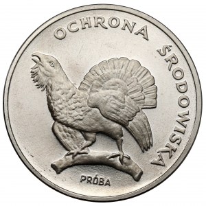 Próba NIKIEL 100 złotych 1980 Głuszec